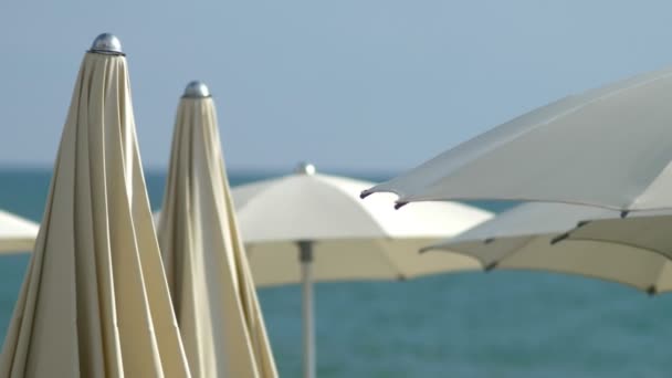 Bulanık arka plan. plajda plaj sandalyeleri ve şemsiyeler — Stok video