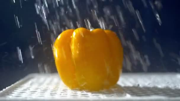 Pimenta amarela doce em um fundo escuro no estúdio sob jatos de chuva . — Vídeo de Stock