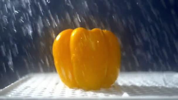 Sladká žlutá paprika na tmavém pozadí ve studiu pod tryskami deště. — Stock video