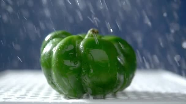 Sladký zelený pepř na tmavém pozadí ve studiu pod tryskami deště. — Stock video