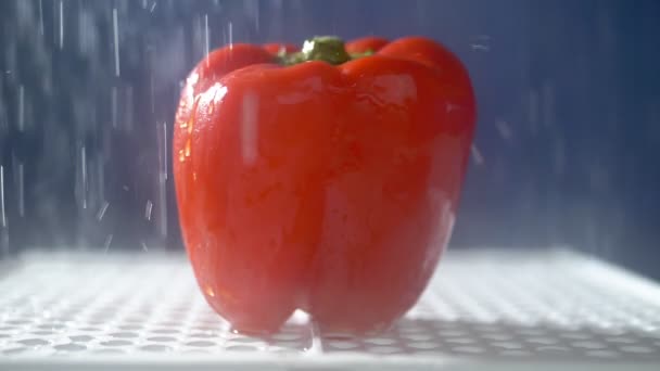 Słodka czerwona papryka na ciemnym tle w studiu pod strumieniem deszczu. — Wideo stockowe