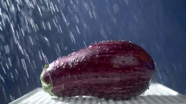 Yağmur akışları altında stüdyoda karanlık bir arka planda güzel patlıcan. — Stok video