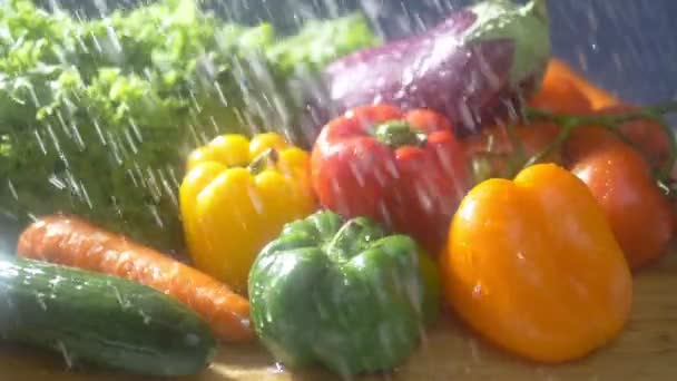 Φρέσκα λαχανικά σε σκοτεινό φόντο στο στούντιο κάτω από πίδακες βροχής. ιδέα της συγκομιδής του φθινοπώρου — Αρχείο Βίντεο