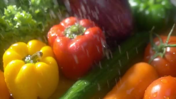 雨のジェットの下でスタジオの暗い背景に新鮮な野菜。秋の収穫コンセプト — ストック動画