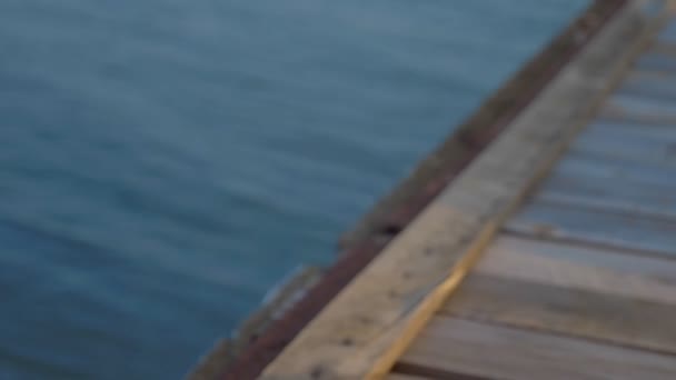 Hermosa mujer delgada con hermosos pechos en un traje de baño de color rosa brillante se encuentra y toma el sol en una terraza de madera sobre el mar . — Vídeo de stock