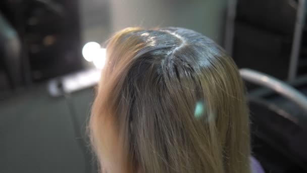 Gros plan. concept de teinture capillaire. coloriste coiffeur teindre les cheveux d'une femme avec un pinceau — Video