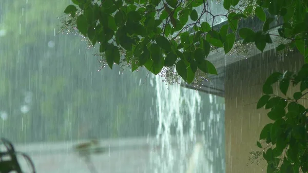 A chuva flui de um telhado da casa para uma sarjeta durante a chuva. close-up — Fotografia de Stock