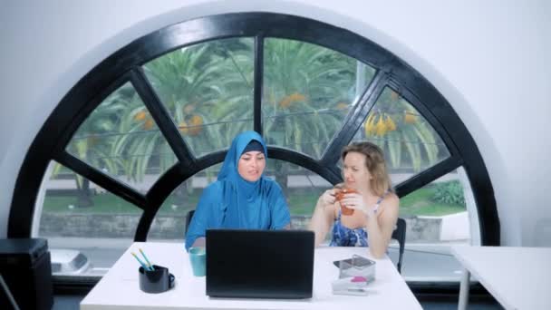 Multinational team concept. Two women, a Muslim woman in a hijab and a Caucasian woman in an open top, work together at the office using a laptop. — Stock Video