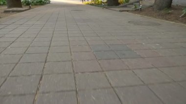 asfalt bir yaya geçidi boyunca hareket. tanınmaz insanlar yolda ayaklarıyla yürürler. Bir grup turist, birlikte karşıdan karşıya geçen yayalar. Erkek ve dişi bacaklar