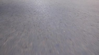 Hareket halindeki bir asfalt yolda park beyaz işaretleme hatları, park geçit.