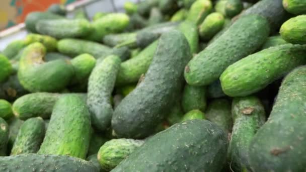 Πράσινα φρέσκα αγγούρια σε πάγκο σε ένα μπακάλικο. πώληση φυσικών λαχανικών για υγιεινή διατροφή — Αρχείο Βίντεο