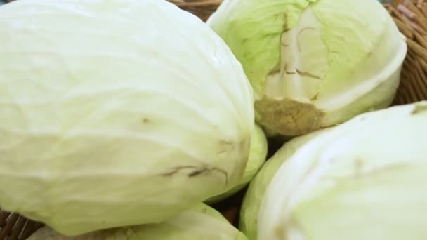Zblízka, pozadí. čerstvé bílé zelí na pultu v supermarketu — Stock video