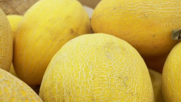 Stilvoll schönen Hintergrund von frischen gelben Melonen. frische Melonenernte im Herbst. Ernte — Stockvideo
