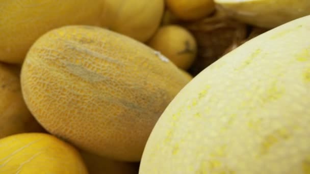 Stilvoll schönen Hintergrund von frischen gelben Melonen. frische Melonenernte im Herbst. Ernte — Stockvideo