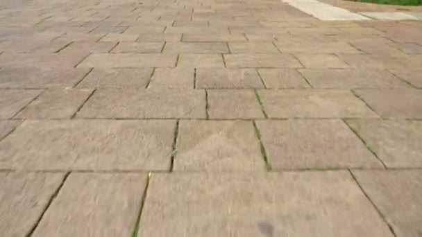 Movement along a paved pedestrian walkway. unrecognizable people walk on the road with their feet. A group of tourists, pedestrians crossing the street together. Male and female legs — Stock Video