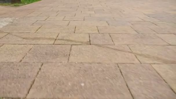 Movimiento a lo largo de una pasarela peatonal asfaltada. personas irreconocibles caminan en el camino con los pies. Un grupo de turistas, peatones cruzando la calle juntos. Piernas masculinas y femeninas — Vídeo de stock