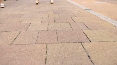 asfalt bir yaya geçidi boyunca hareket. tanınmaz insanlar yolda ayaklarıyla yürürler. Bir grup turist, birlikte karşıdan karşıya geçen yayalar. Erkek ve dişi bacaklar