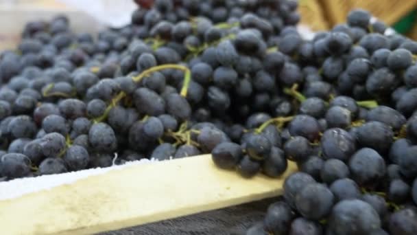 Druiven in dozen in de kruidenierswinkel teller. — Stockvideo