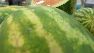 Taze kavun şık güzel arka plan. Kavun taze sonbahar hasadı. Hasat