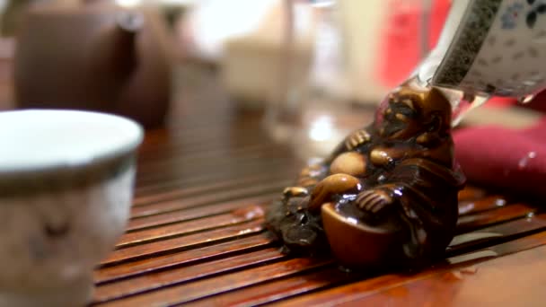 Традиційна китайська чайна церемонія. Закри. хтось наливає чай в чашки — стокове відео