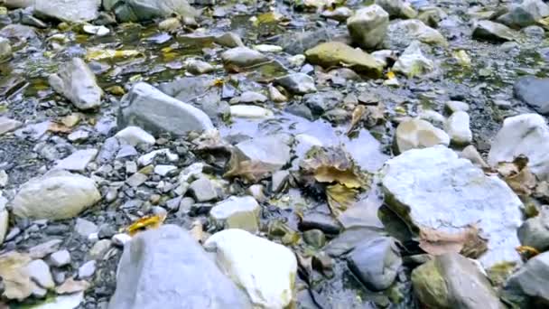 Fallendes Herbstlaub in einem Gebirgsbach, der auf dem Wasser zwischen den Steinen schwimmt. — Stockvideo