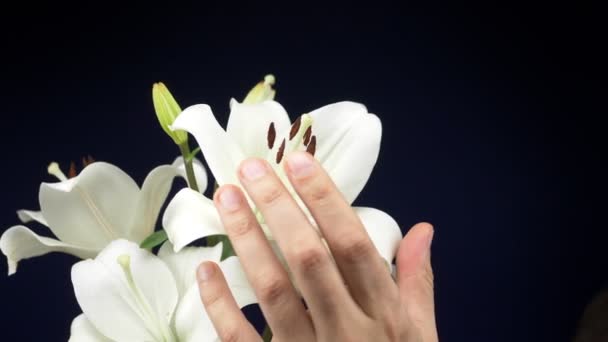 Male hands caress a white lily on a dark background. copy space — Stock Video