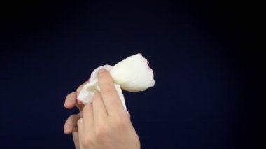 Erkek elleri koyu bir arka planda pembe bir gülü okşar ve buruşturur. Boşluğu kopyala