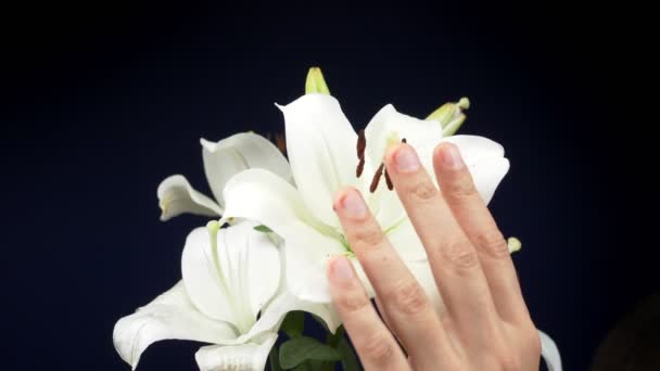 Mužské ruce hladí bílou lilii na tmavém pozadí. kopírovat prostor — Stock video