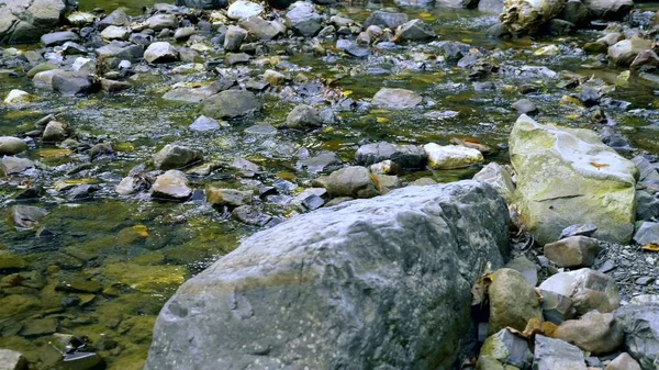 Hojas de otoño caídas en un arroyo de montaña flotando en el agua entre las piedras . — Foto de Stock