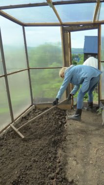 Dikey, tırmıklı kadın serada bahçe yatağı yapıyor.