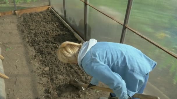 Femme avec une pelle creuse la terre dans une serre — Video