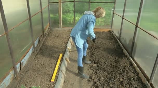 Woman with a rake makes a garden bed in a greenhouse — Stock Video