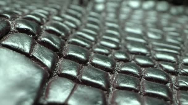 Supernära. detaljer färgade krokodil läder. textilbakgrund — Stockvideo