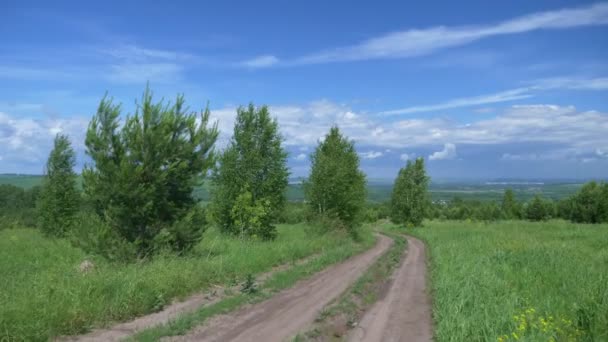 Prachtig landschap van een landelijke weg in een veld dat zich uitstrekt tot aan de horizon. — Stockvideo