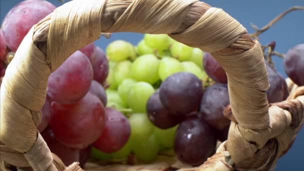 Super gros plan. Détails de cerises, raisins verts et rouges dans un panier — Video