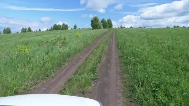 Prachtig landschap van een landelijke weg in een veld dat zich uitstrekt tot aan de horizon. — Stockvideo