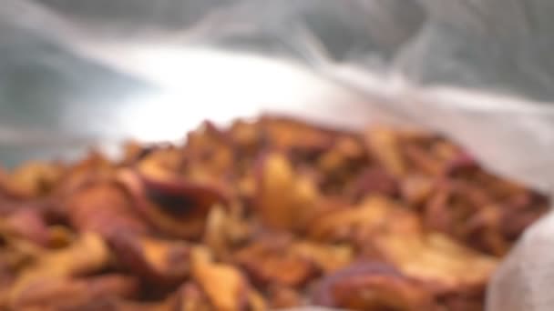 Super close up dried fruits. details of dried apples. food background — Stock Video