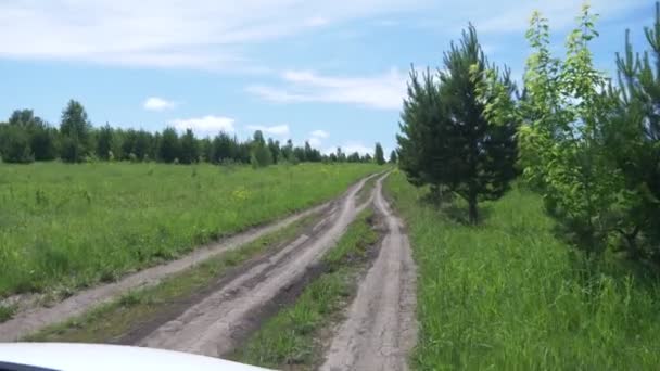 Красивий краєвид сільської дороги в полі, що тягнеться до горизонту . — стокове відео