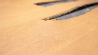 Cilt bakımı çok yakın. Tanner atölyesi. Boşluğu kopyala