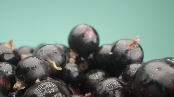 Super close up. details of blackcurrant berries in a basket on a table — Stock Video