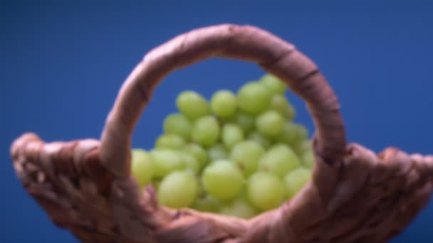 Super aus nächster Nähe. Details der grünen Trauben in einem Korb auf blauem Hintergrund — Stockvideo