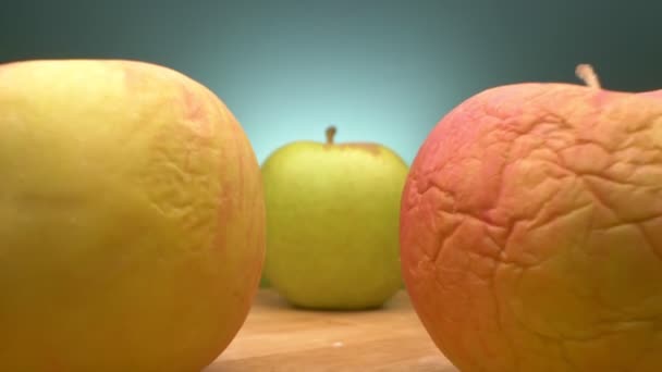 Uitzicht tussen rijen appels. oude gerimpelde en jonge groene appels samen — Stockvideo