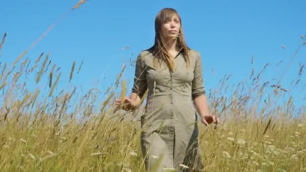 Vacker ung kvinna går över ett fält i högt gräs mot en blå himmel — Stockvideo