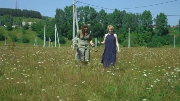 Duas mulheres caminham juntas em um campo de grama alta em um dia claro de verão — Vídeo de Stock