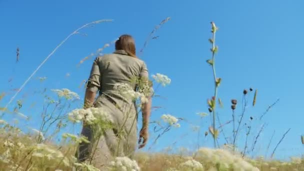 Arkadan bak. Genç bir kadın mavi gökyüzüne karşı uzun çimenlerde yürüyor. — Stok video