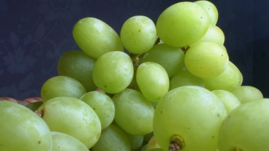 Süper yakın çekim. Mavi arka planda yeşil üzümlerin ayrıntıları