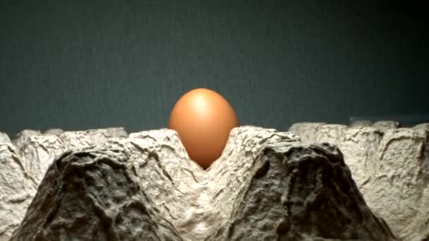 Súper cerca. macro disparo. huevo de gallina marrón solitario en cartón — Vídeos de Stock