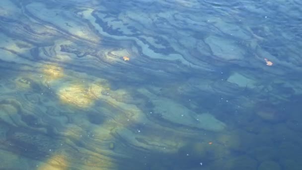 Bellissimo fondo roccioso a strisce del fiume sotto l'acqua limpida in acque poco profonde — Video Stock