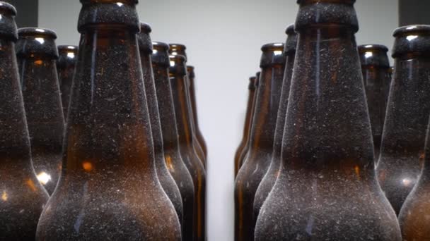 Super close up, rows of empty dusty brown glass bottles — Stock Video