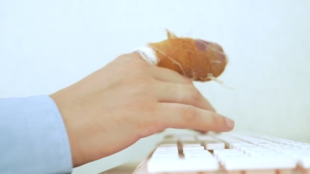 Hand eines Mannes mit bandagiertem Finger benutzt Computertastatur — Stockvideo